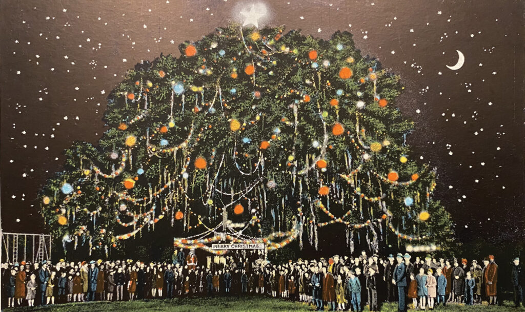 A postcard image published in 1950 depicts the live oak tree in Hilton Park at its Christmas Eve event. Courtesy New Hanover County Public Library