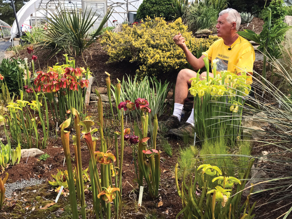 JLBG founder Tony Avent sits in the bog area among several types of pitcher plants.  Photo courtesy of Juniper Level Botanic Garden