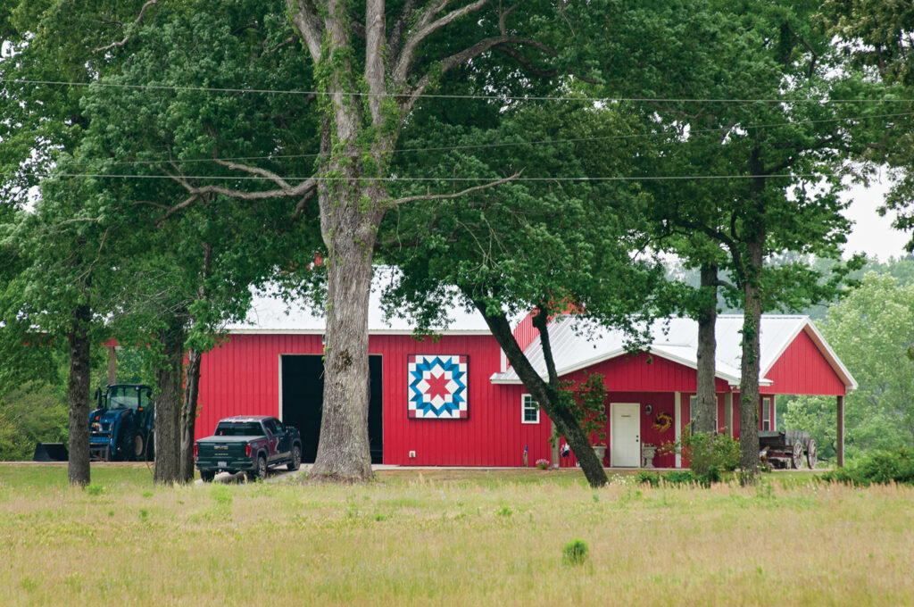  Barn quilt on US 421 in Sampson County. Photo by Allison Potter