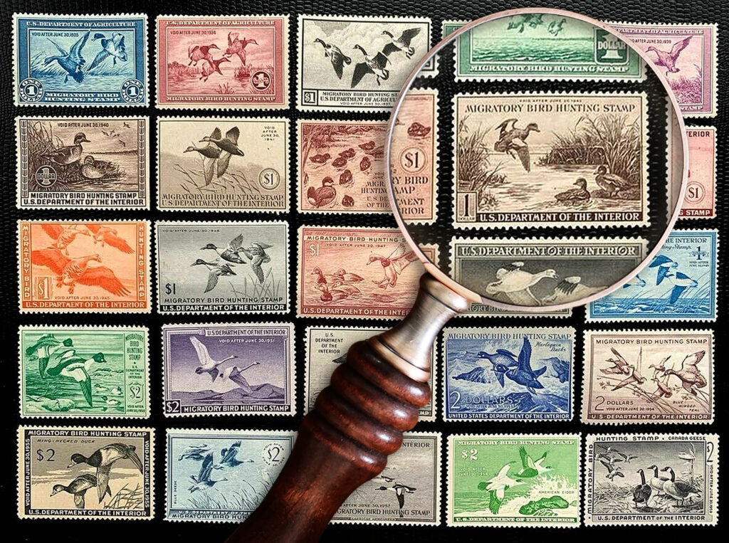 colored stamp composite