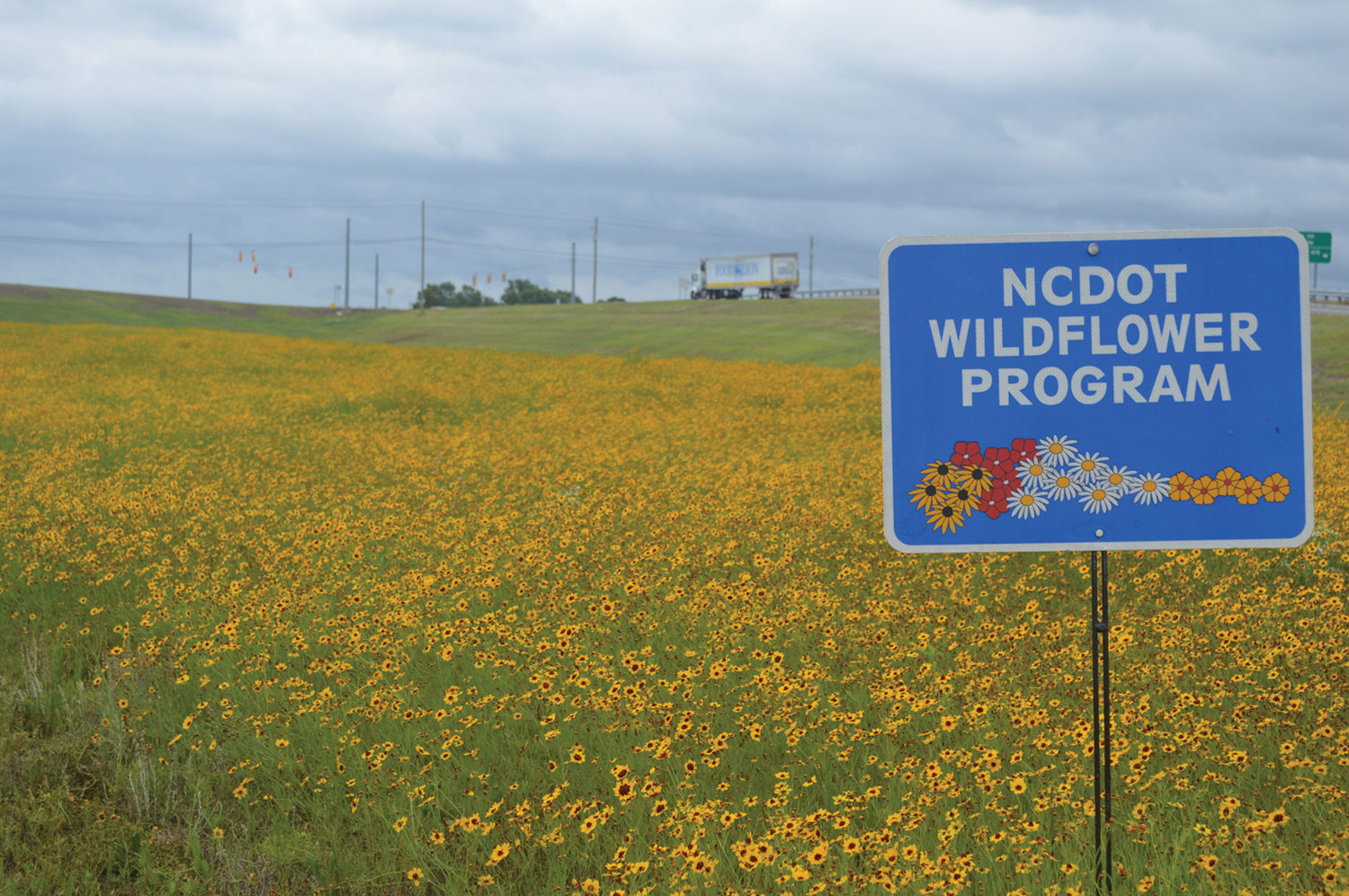 NCDOT: Wildflower Program