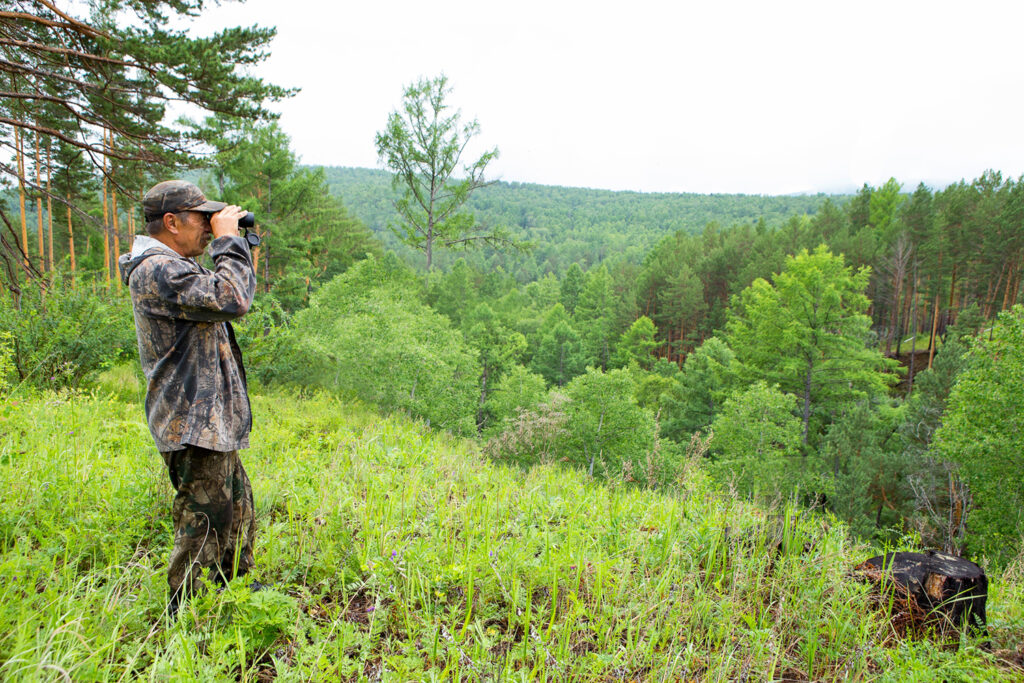 the forester looks through binoculars