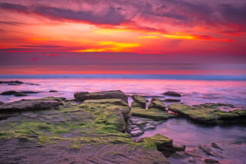 Coquina At Dawn by Vincent Thompson